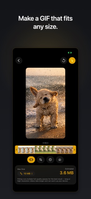Video to GIF app with the max file size set to 10 MB before converting