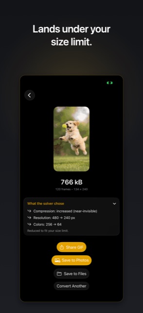 Finished GIF landing under the chosen file size limit on iPhone